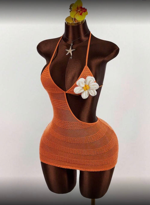 Crochet Mini Dress